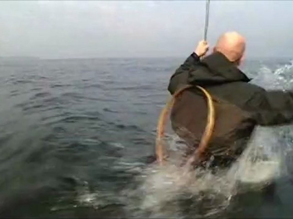 Bornholm Meerforelle