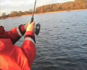 Auf Hecht auf Rügen