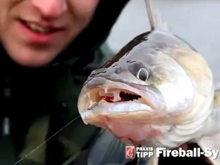 BLINKER Praxis-Tipp: Fireball-System