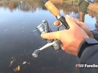 Praxis-Tipp: Auwas Forellensee Teil 3