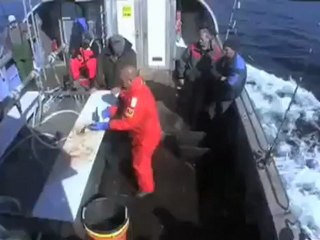 Wrackangeln auf der Nordsee