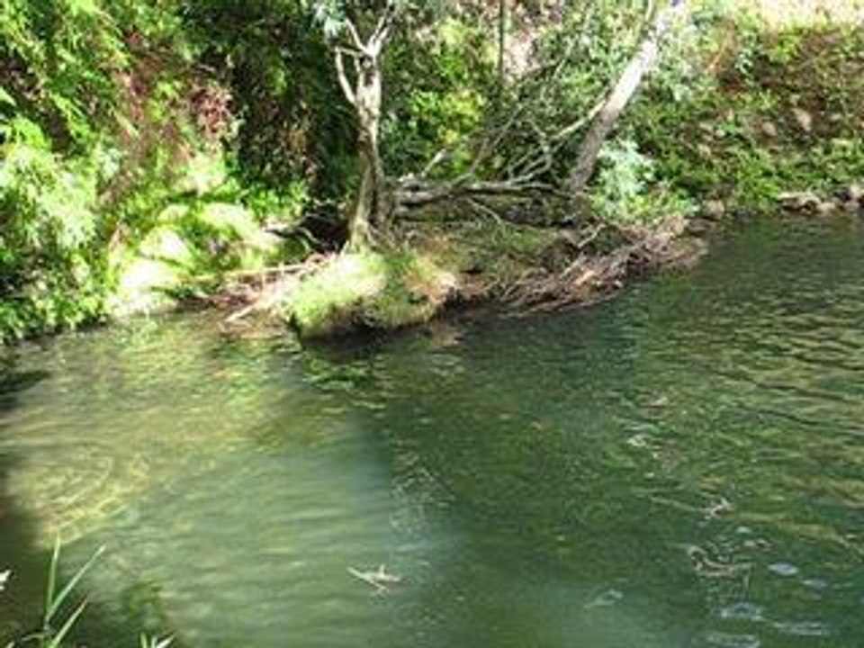 Vacances Gwada [M.R.Crew]