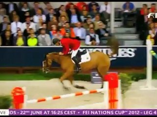 Equestrians can save the world