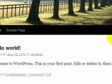 Using Wordpress To Create A Website - Dashboard And Default Settings