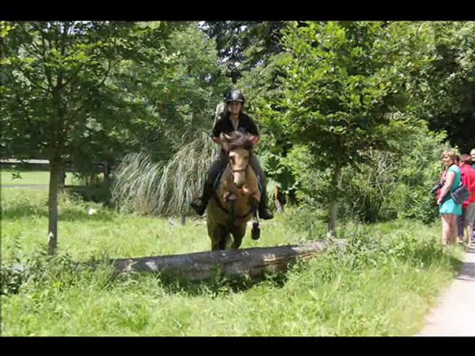 Ody juin 2012