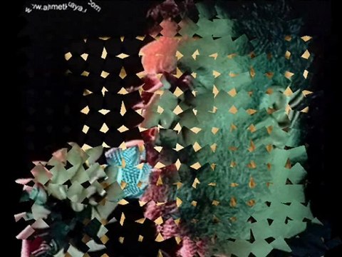 Ahmet KAYA/Lili Marlen Türküsü Şiirli