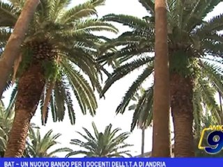 BAT | Un nuovo bando per i docenti dell'I.T.A. di Andria