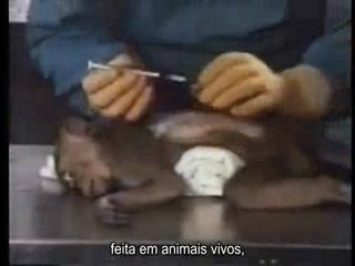 Earthlings 5ª parte, ciência