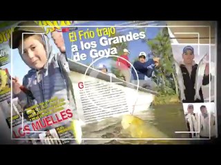 Panorama de Pesca TV 81