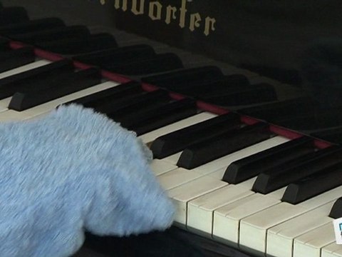 Comment nettoyer un piano ?