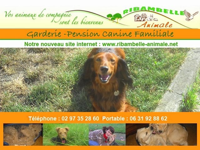 Ref:xrz1l9 Ribambelle-Animale.net SITE OFFICIEL - Marie-Paule Alexandre - Pension garderie canine familiale