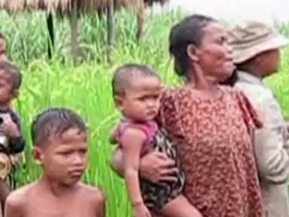 'Blutiger Zucker' aus Kambodscha: Vorwürfe gegen die EU