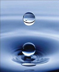 2 Les Règles De La Purification Et De La Prière  1.2