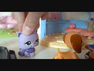 short Littlest Pet Shop clip: my house