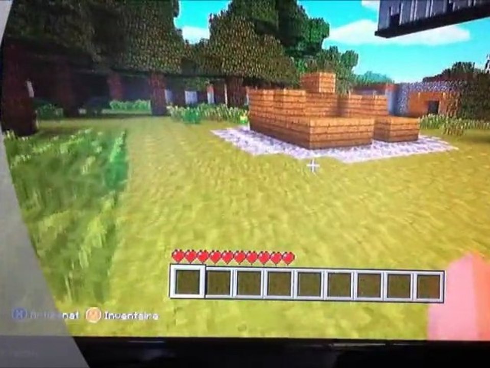 Connaissez-vous Minecraft ?