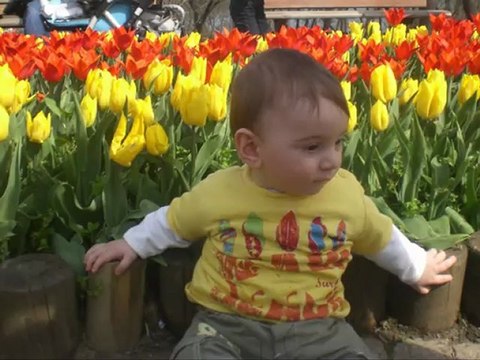 aşkım ve ben murat kara