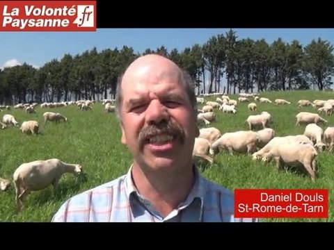 Climat et fourrages : la fétuque élevée a de l'avenir