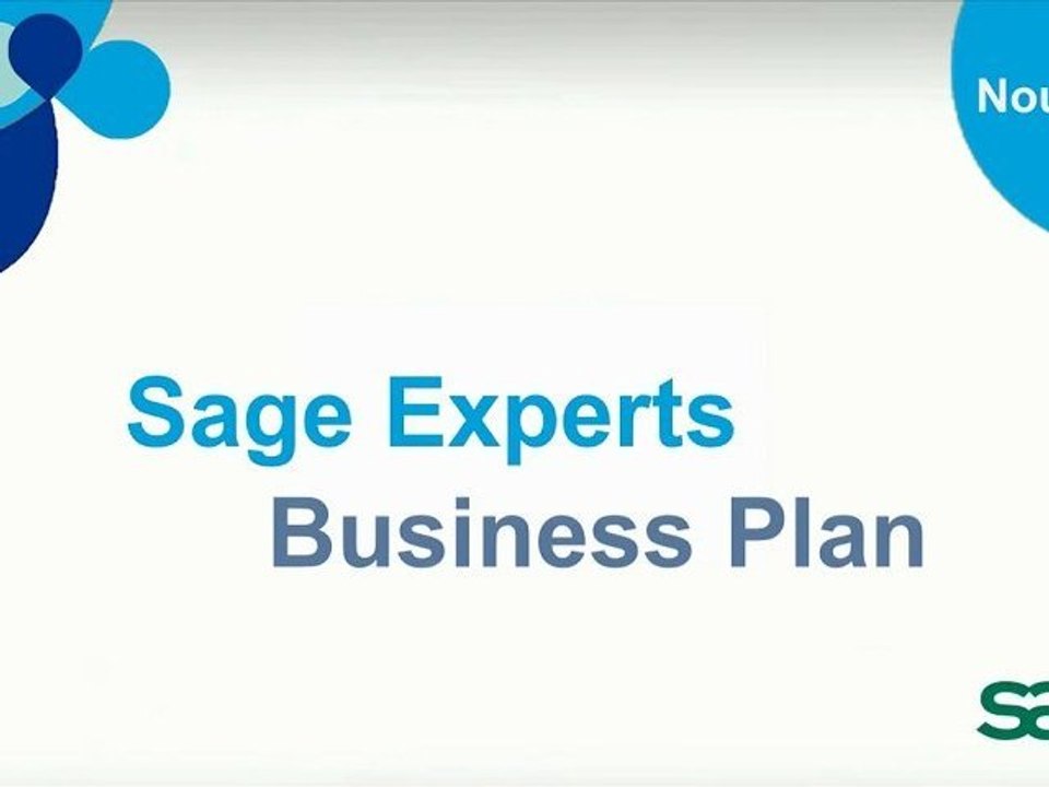Sage Experts Business Plan