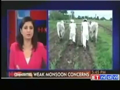 Monsoon woes: Soybean hits record highs, pulses gain