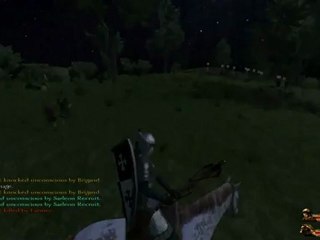 Mount & Blade brightness