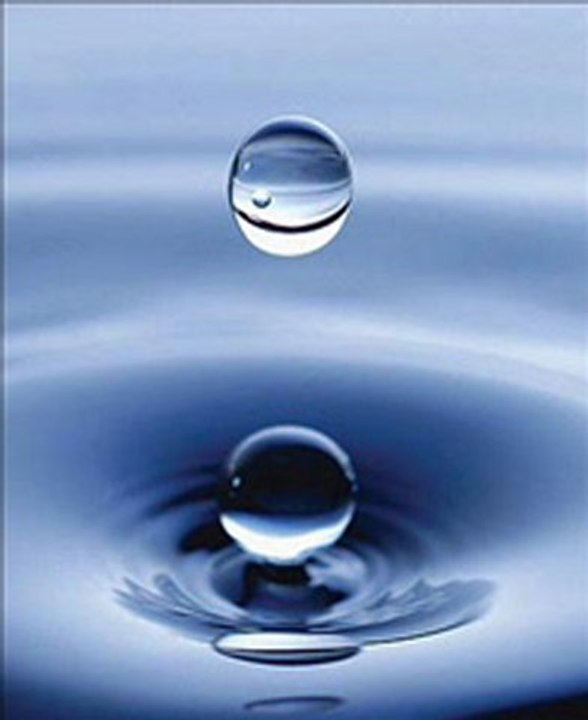 2 Les Règles De La Purification Et De La Prière  2.2