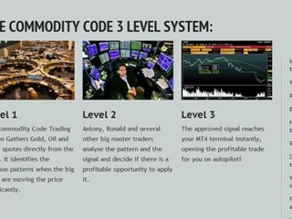 Commodity Code Review