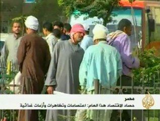 حصاد مصر الاقتصادي لعام 2010