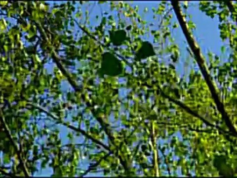 Sakarya Tanıtım Filmi