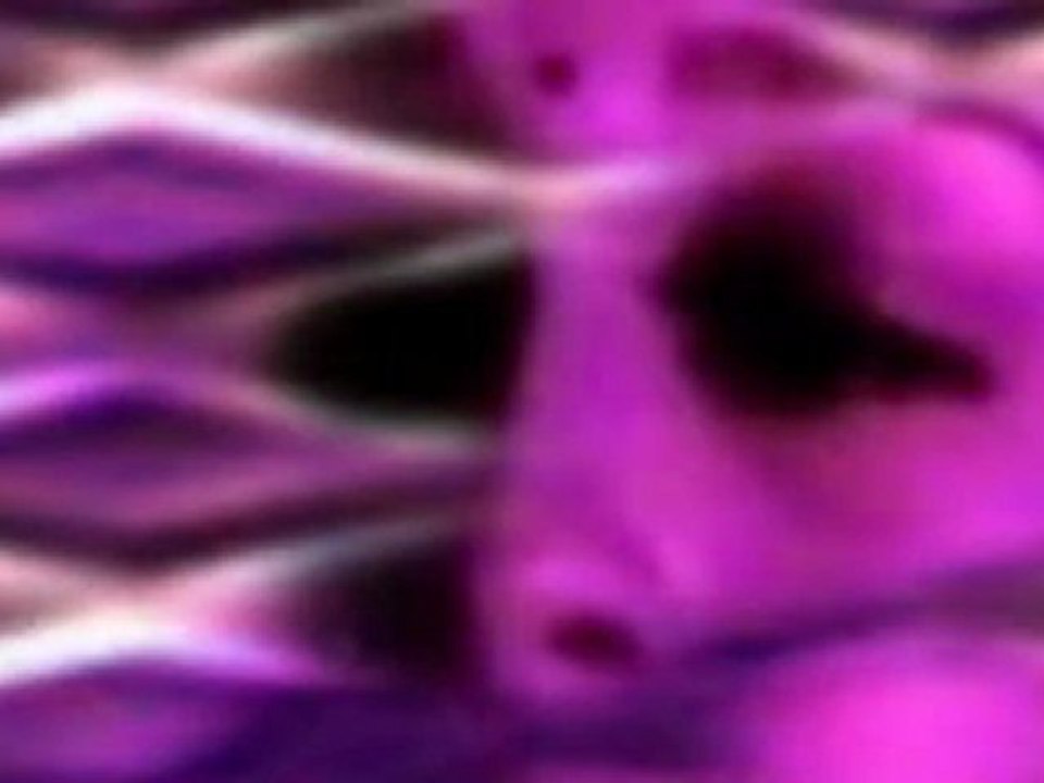 RAVE 5