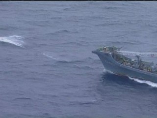 South Korea to resume whaling