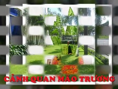 Nhận chăm sóc cây cảnh, duy trì cảnh quan tại nhà tất cả các quận tai tp HCM/Lh;0908399005