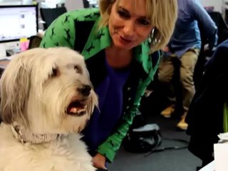 *BREAKING NEWS* Pudsey from Britain's got talent becomes editor of heat magazine