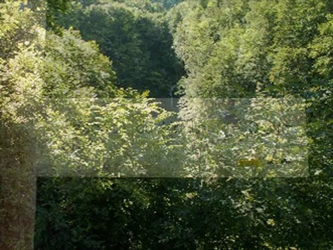 (39) Jura N°1, Jeurre aire de service, Les moulins, La Roche Blanche, Crêt au Merle; Choux, Vuloz, St Claude, Ravilloles ...Juin 2009