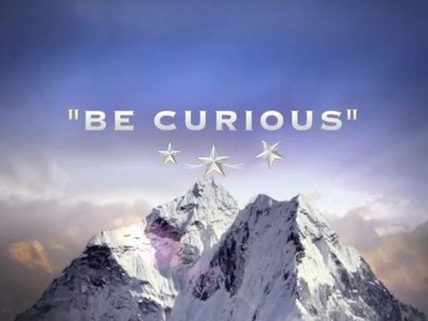 SUNFLOWER BE CURIOUS XIV EDICION DE LOS PREMIOS DE LA ACADEMIA DE LA TELEVISION