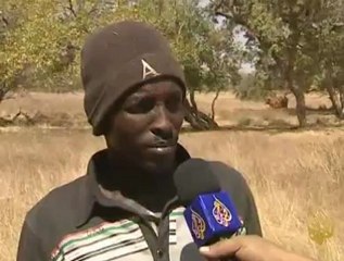 الرعاة في رحلة الطريق إلى أبيي