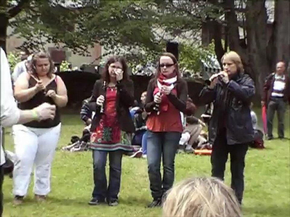 Sonerien Divroet Orchestra Menez Meur 2012