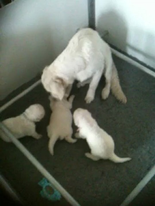 Les BB avec leur grande soeur!