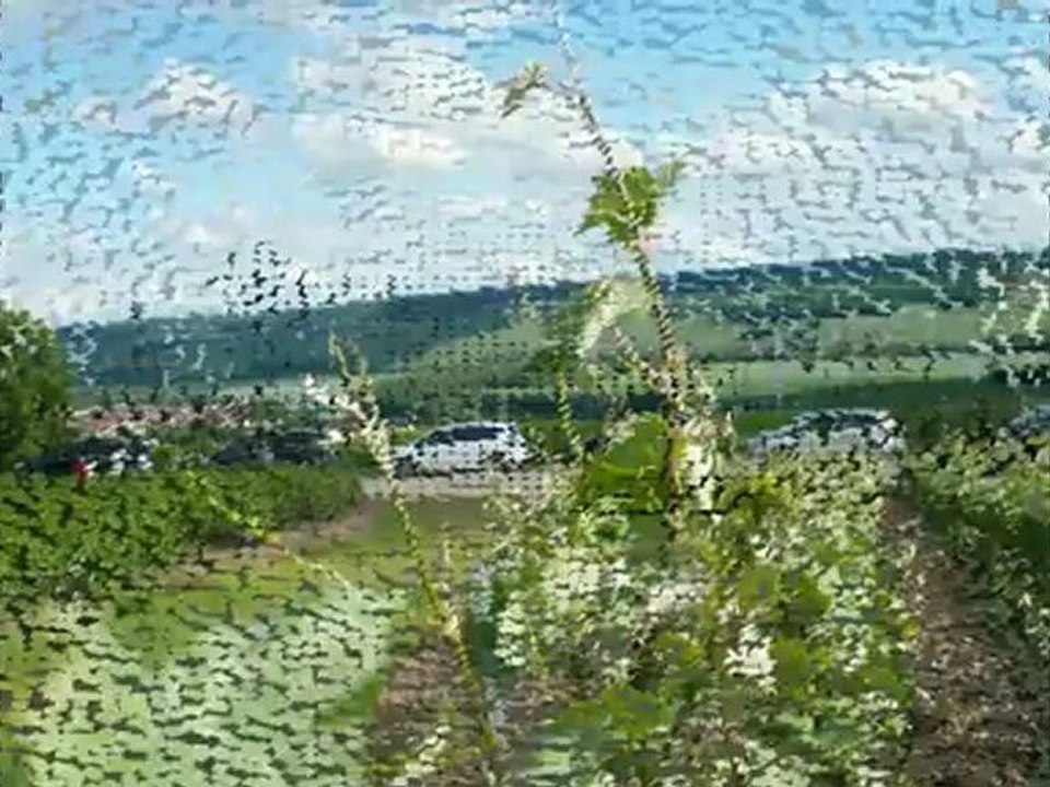 20120611-UnGrandBleu