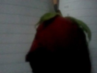 GÜLERİM--FERUDUN TÜRKMEN