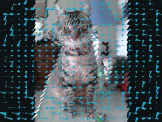 Evolution de Tigrou.