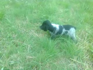 arret helka pour ses 2 mois