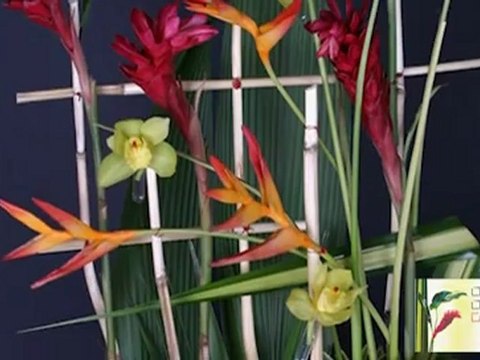 Fleuristes Sainte-Therese Rosemère Fleuriste Foliole