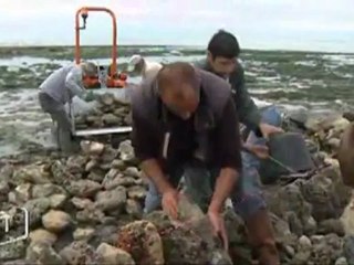 Le retour des écluses à poissons (La Tranche-sur-Mer)