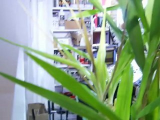 Foyer Sainte-Rosalie Saint-Hyacinthe Boutique Du Foyer ...