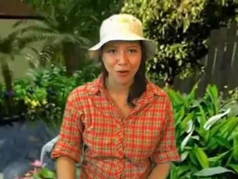 Birds - Minnesota Birds Field Guide 2nd Edition Review