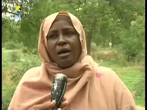 GRAND JTV TCHAD ARABE LOCAL DU 05 juiLLET 2012 SUR TOL PRESSE