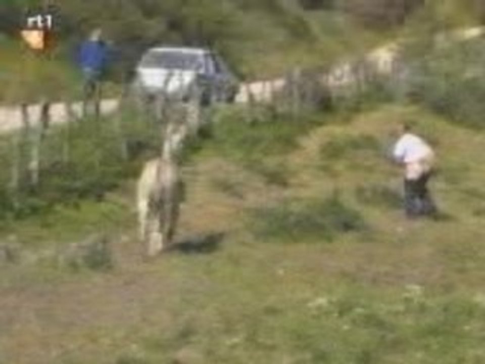 - dont-pee-in-woods (1)