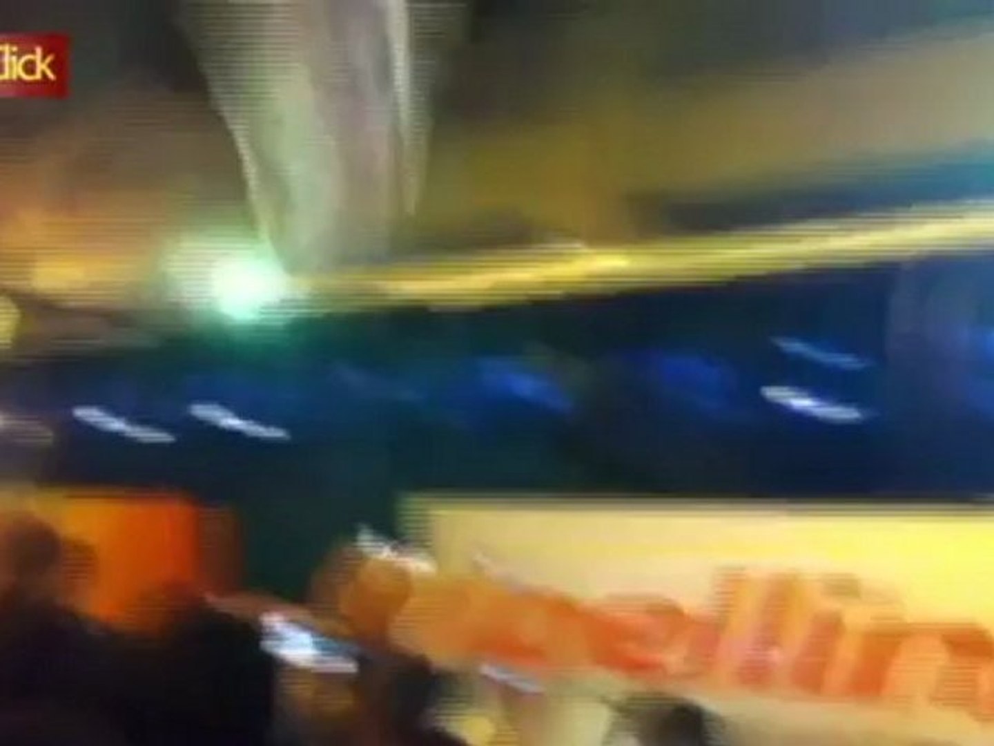 Corinthians: paixão, loucura, emoção e título invicto