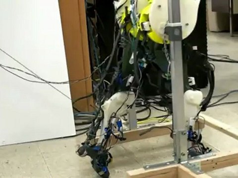 Des jambes de robots très humaines