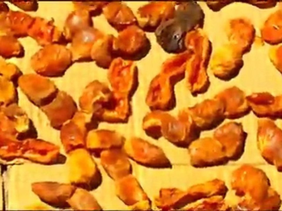 HACI KAHRAMAN HERGÜN ÜN HAYATI